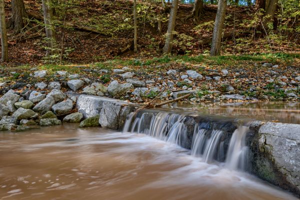 landschap, water, natuur, Bos, waterval, kreek