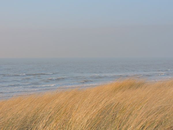 plage,mer,côte,le sable,océan,horizon