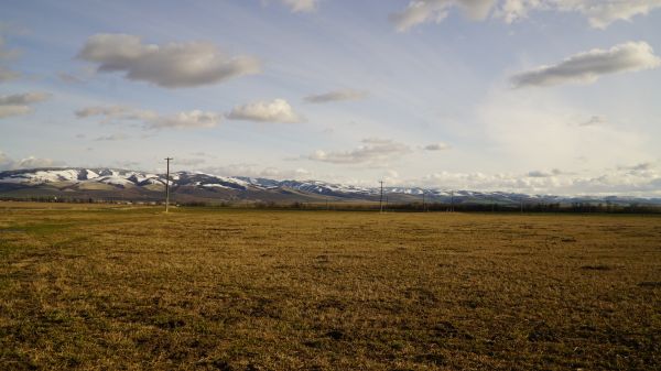 landskab, hav, natur, græs, horisont, sne