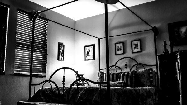 ligero, en blanco y negro, blanco, interior, pared, enviar