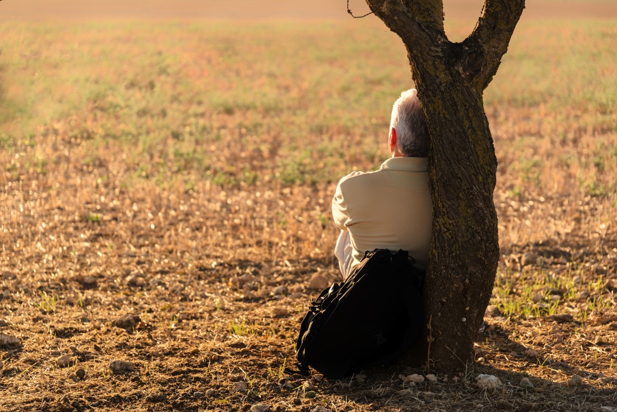 homem, panorama, árvore, natureza, grama, pessoas, dom, campo, verão, outono, solo, agricultura, calor, Silhuetas, tarde, aguente, só, Soledad, área rural