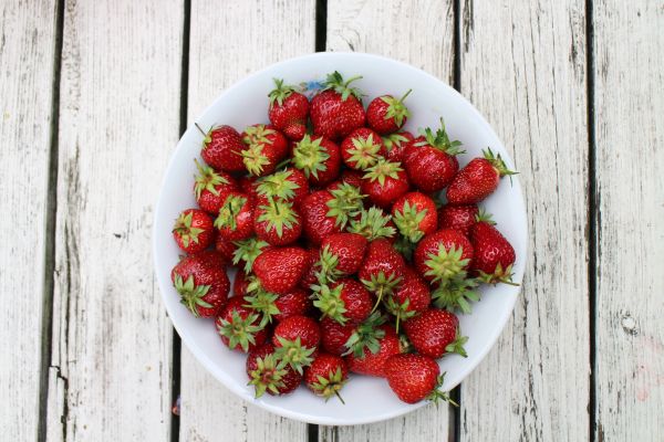 meja,menanam,frambos,buah,Berry,putih