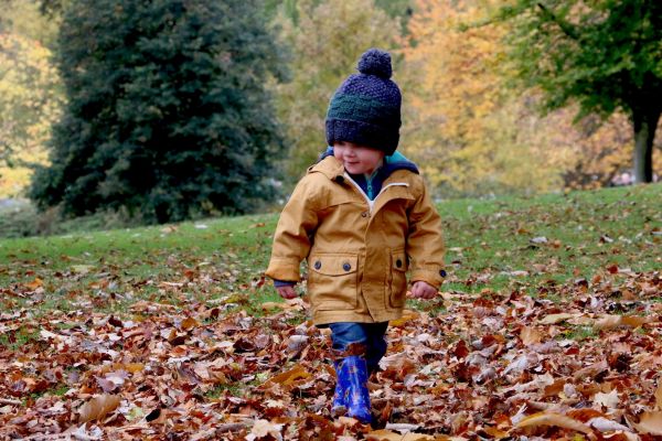 Blatt,Wald,draussen,Gehen,Menschen,fallen