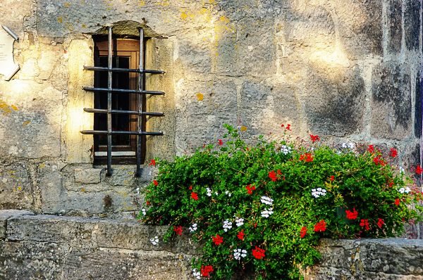 casa,fiore,finestra,parete,Cottage,autunno