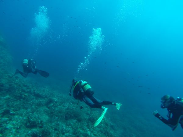 mer,eau,la nature,des loisirs,plongée,réunion