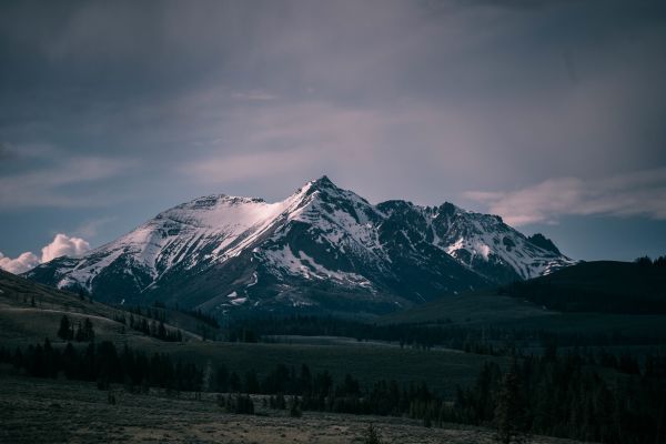 пейзаж, природа, пустыня, гора, снег, дерево