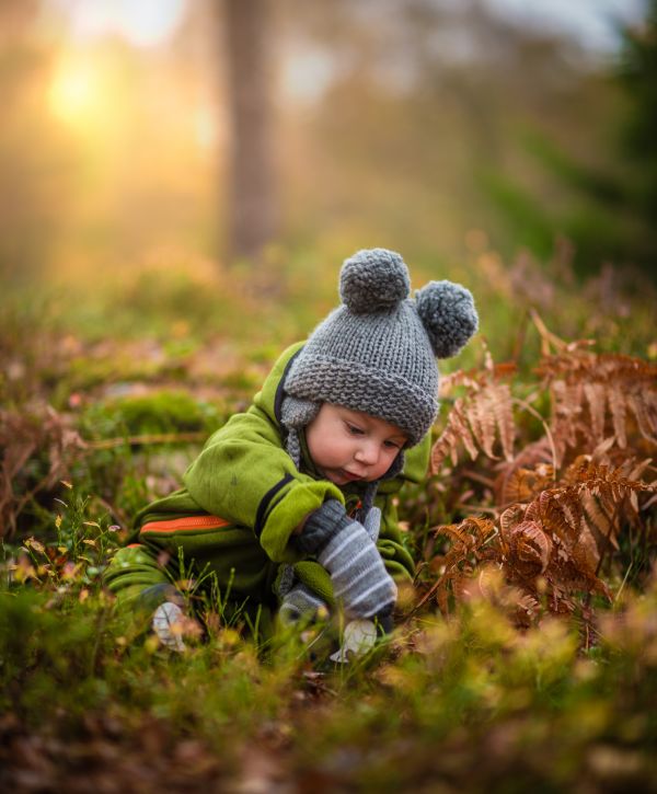 träd,natur,skog,gräs,jord,blad