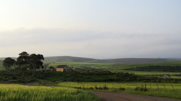 Landschaft, Natur, Gras, Horizont, Berg, draussen