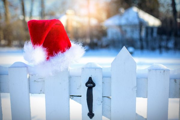 neige,hiver,lumière,blanc,la glace,décoration