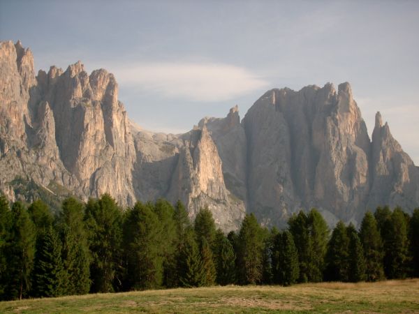 panorama, natureza, Rocha, região selvagem, montanha, árvore