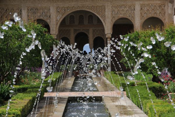 agua,flor,patio,palacio,arco,jardín