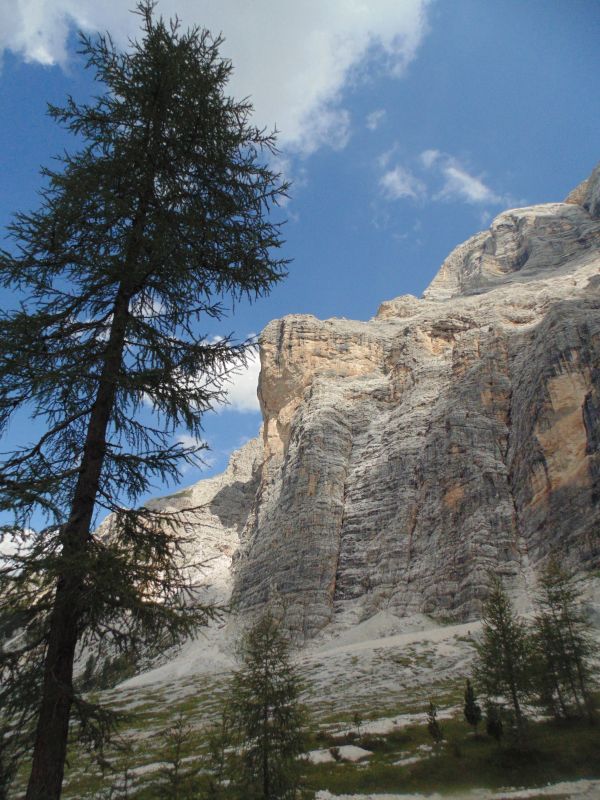 landscape, tree, nature, rock, wilderness, walking