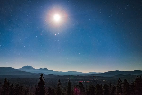 árvore, montanha, céu, noite, Estrela, floresta