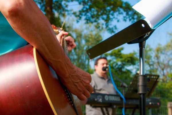 hand,person,music,keyboard,man,tree