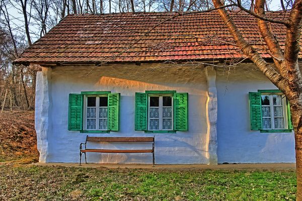 arquitetura,madeira,casa,construção,casa,janela