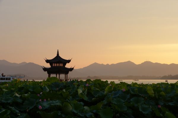 海,地平线,天空,日出,日落,领域