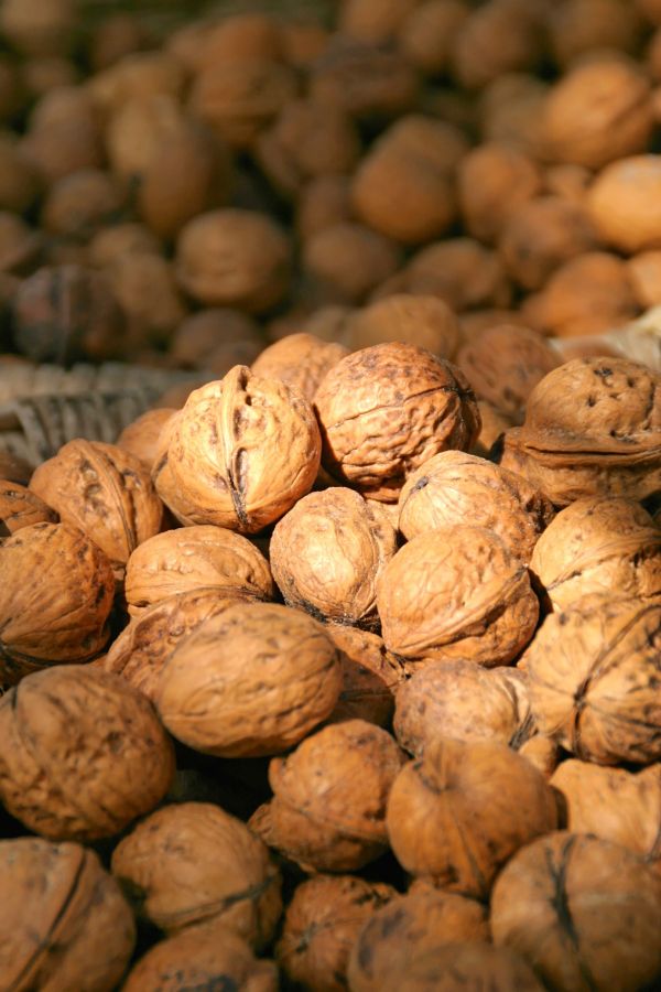 Comida,produzir,noz,vegetal,mercado,Nozes