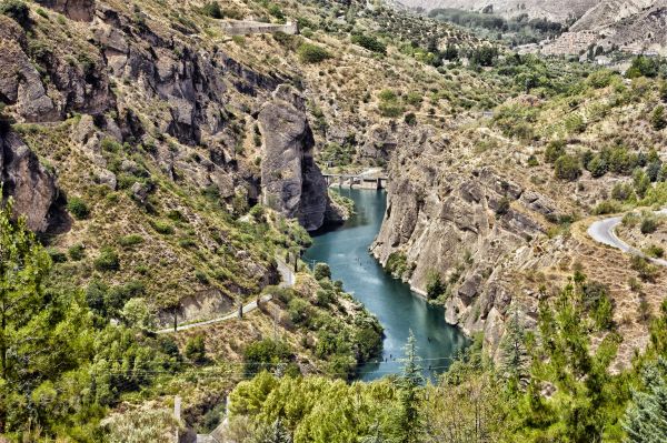 пейзаж,берег,воды,природа,лес,сельская местность