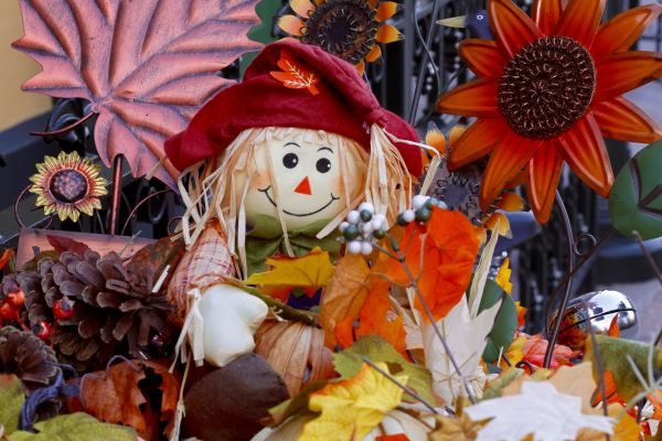 flower,carnival,autumn,thanksgiving,festival,straw doll