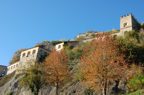 tree,flower,town,building,chateau,village