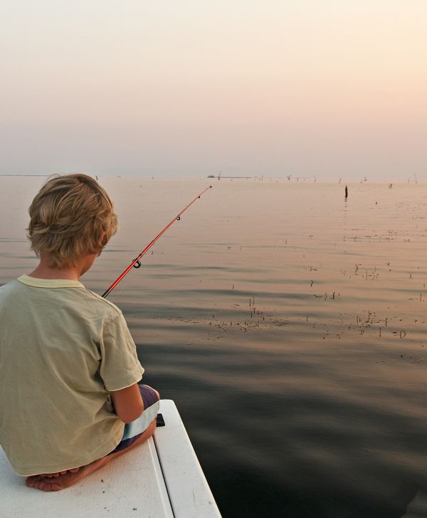 mare, acqua, natura, persone, lago, ragazzo