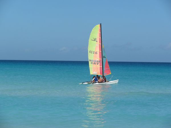 Meer,Ozean,Fahrzeug,Boot,Wind,Surfen