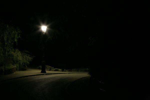 arbre, lumière, nuit, Paris, France, parc