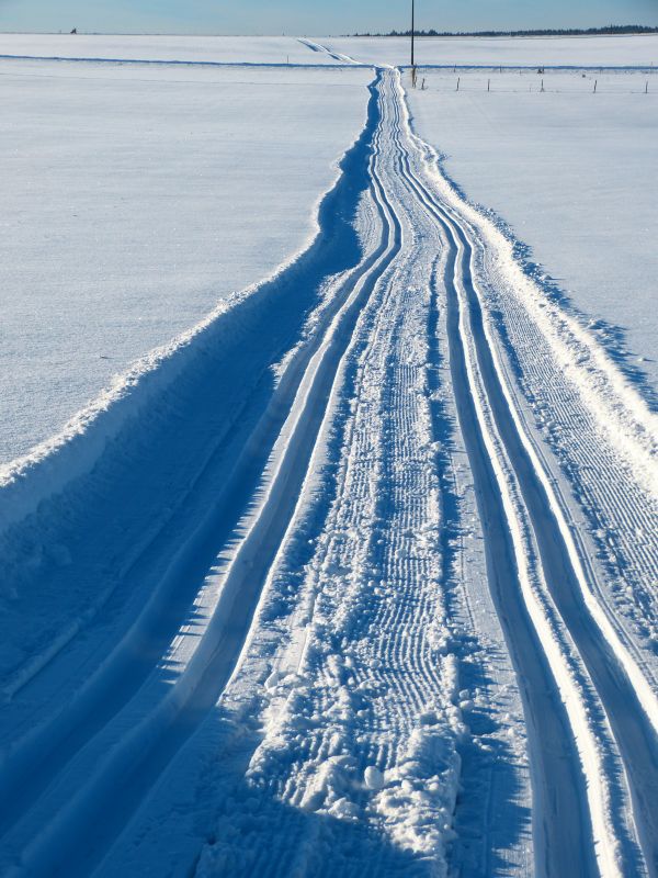 海, 雪, 冬季, 落后, 白色, 运动