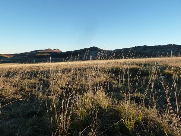 landskap,natur,gräs,horisont,kärr,vildmark