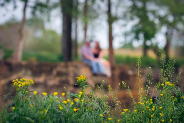 homme,gens,arbre,la nature,forêt,herbe