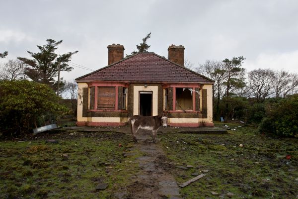 árbol,naturaleza,casa,edificio,casa,villa