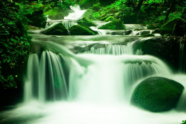 landschap,water,natuur,Bos,rots,waterval