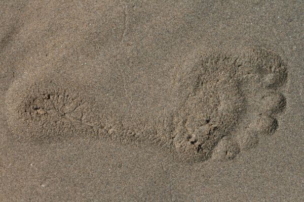 strand, hav, vand, sand, klippe, sol