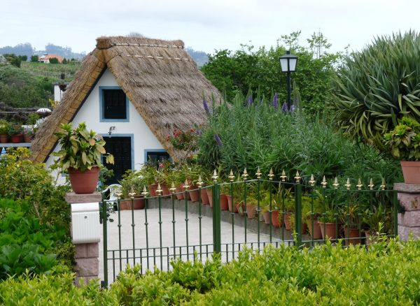 luz,flor,gramado,Villa,casa,cobertura