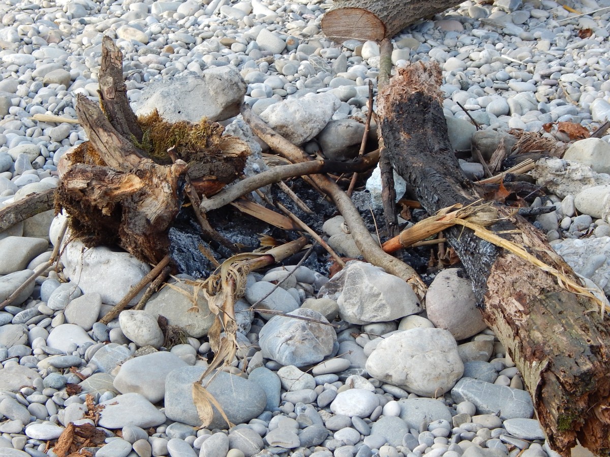 tree, rock, branch, winter, plant, wood, leaf, frost, trunk, river, soil, fireplace, season, stones, geology, pebbles, lech, gravel bed, gravel bank