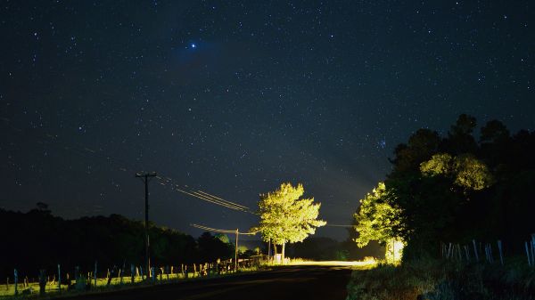 tre,lett,himmel,natt,vei,stjerne