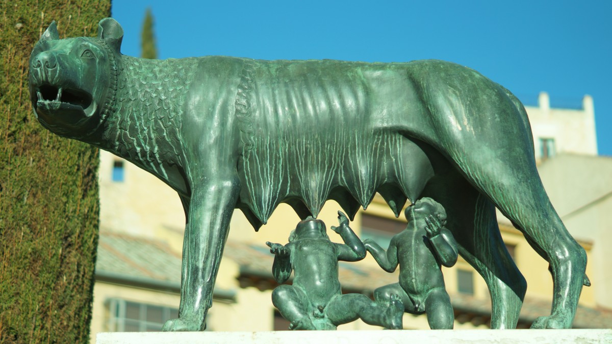 monument, staty, horn, däggdjur, barn, fauna, skulptur, konst, barn, mor, brons, segovia, rodd, romulus, akvedukt, amning, boskap såsom däggdjur, varghona