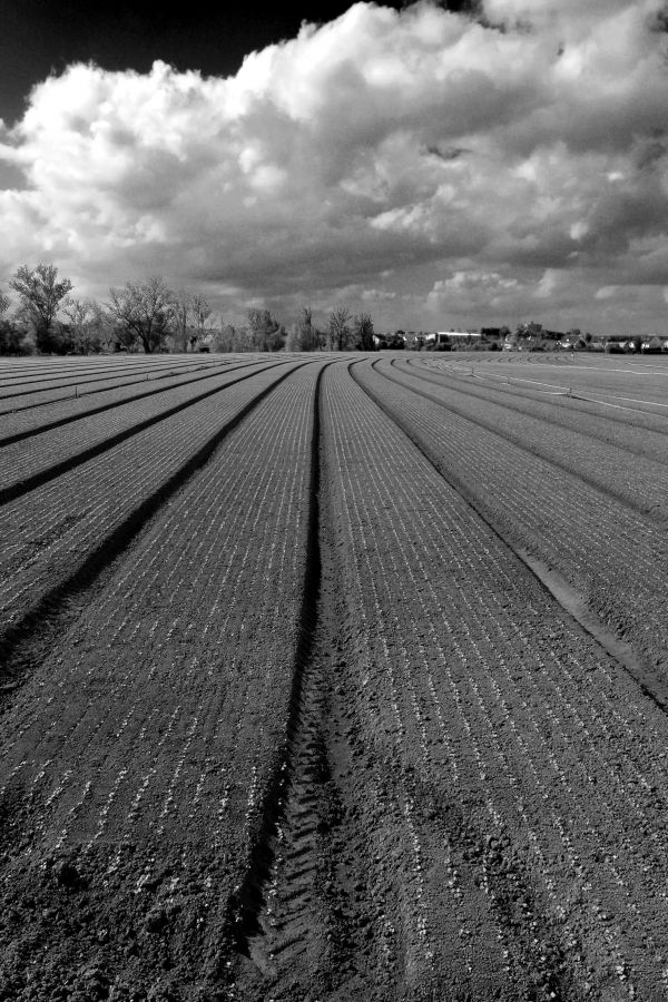 landscape,cloud,black and white,road,horizon,track