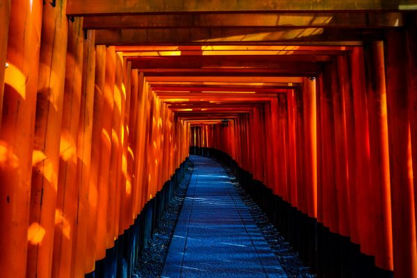 light, architecture, wood, night, sunlight, city