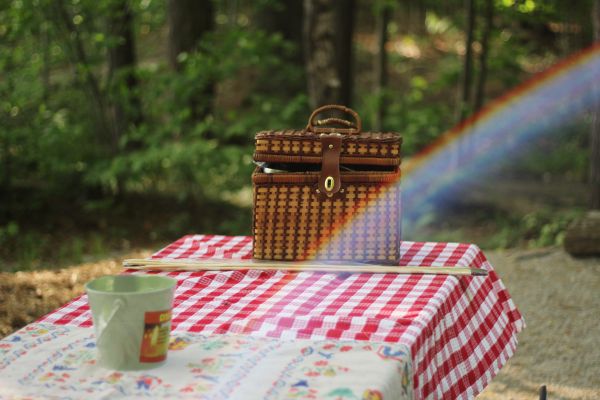 zomer,picknick,tafel,bank,herfst,park