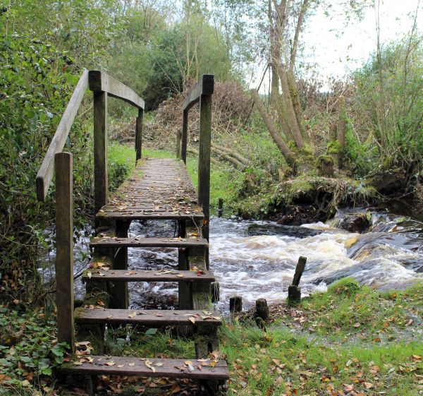 eau, la nature, Promenade, Piste, pont, région sauvage