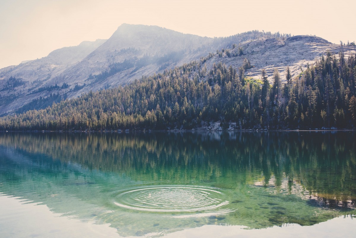 landscape, nature, forest, wilderness, mountain, lake, valley, mountain range, reflection, reservoir, pine tree, body of water, loch, crater lake, landform, atmospheric phenomenon, mountainous landforms