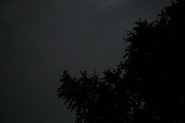 Baum,Natur,Licht,Wolke,Schwarz und weiß,Himmel