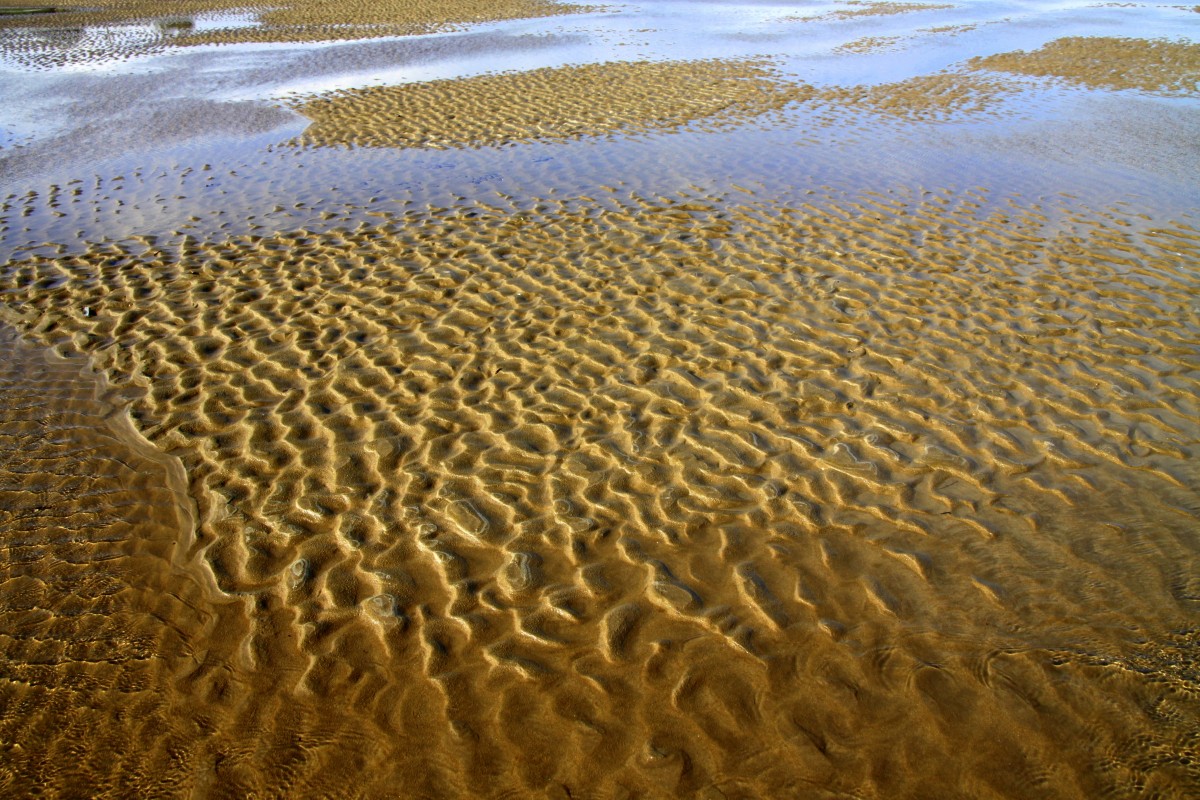 spiaggia, paesaggio, mare, costa, acqua, natura, sentiero, all'aperto, sabbia, oceano, leggero, raggiante, luce del sole, sole, luce del sole, struttura, puntellare, estate, vacanza, viaggio, costa, mare, pensiero, contemplazione, ambiente, amore, modello, d'oro, rilassare, Paradiso, brillare, tranquillo, viaggio, colore, tranquillo, calmo, naturale, vacanza, calma, isola, romanza, romantico, ardere, blu, giallo, turismo, stile di vita, tempo libero, riva del mare, stagione, Materiale, corallo, rilassante, colore, soleggiato, divertimento, rilassamento, sfondo, oro, design, contento, felicità, luminosa, riflettendo, sfondo, diverso, bellissimo, giorno, bella, habitat, magico, godere, fondale, ecosistema, effetto, benessere, motivo di sfondo, giorno soleggiato, spiaggia di sabbia, illuminazione esterna, spiaggia estiva, paesaggio estivo, la natura di fondo, sfondo luminoso, mudflat, luci di sfondo, estate sfondo, colore di sfondo, sfondo di primavera, fondo oro, sfondo dorato, ambiente naturale