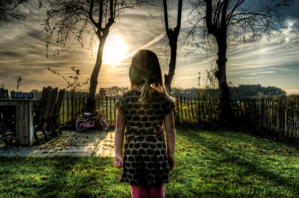 tree,forest,grass,outdoor,person,fence