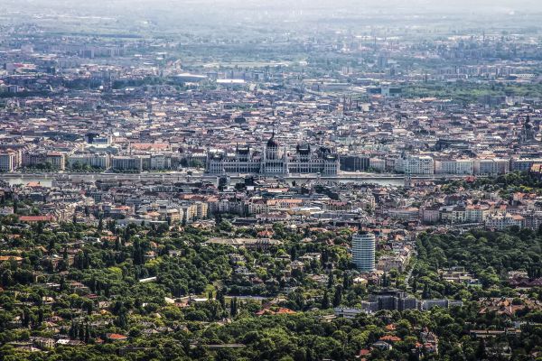 Natur,Landschaft,Baum,Horizont,Himmel,Skyline