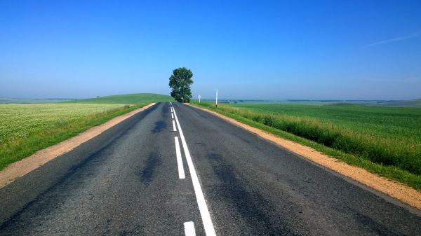 gras, horizon, weg, buitenshuis, veld-, prairie