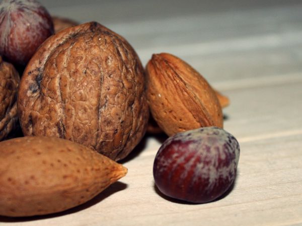 plant, fruit, food, produce, brown, nut