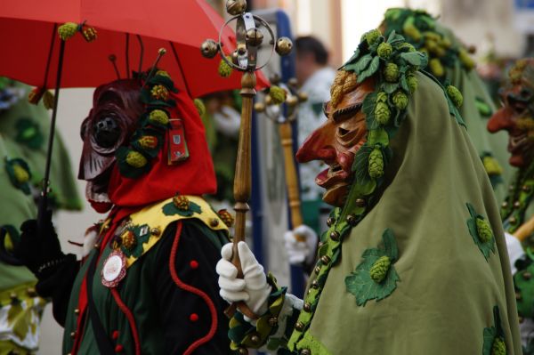 carnaval,ropa,festival,pantalla,flor,parque