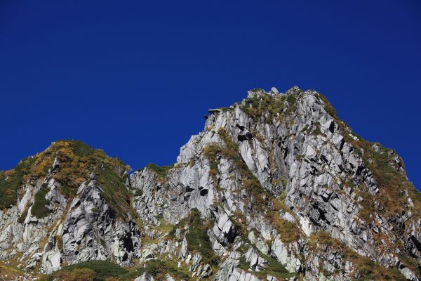 landskap, natur, stein, villmark, fjell, tre